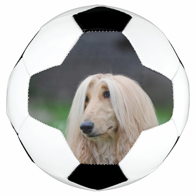 Ballon De Foot afghan-laying (Devant)