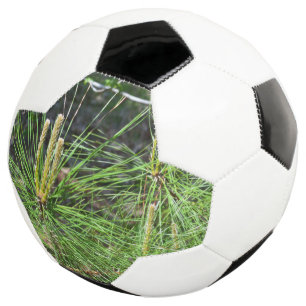 Ballon De Foot Aiguilles de pin par Kenneth Yoncich