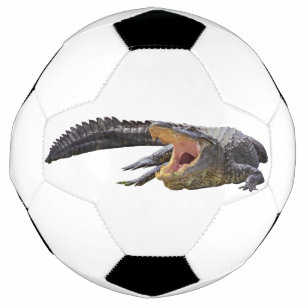Ballon De Foot Alligator américain - Faune de Floride