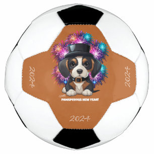 Ballon De Foot Année des bois !