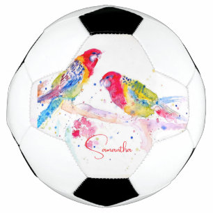 Ballon De Foot Art perroquet Aquarelle Peinture Bleu Rouge Coloré