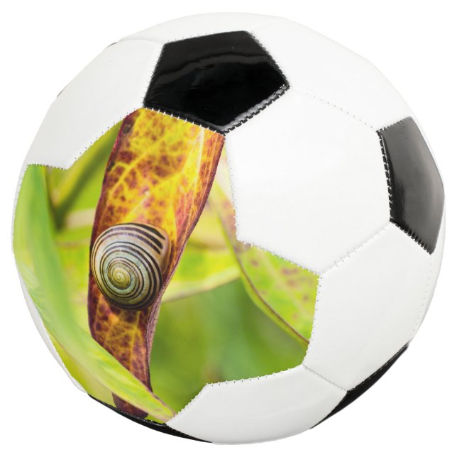 Ballon De Foot attachement calme (3/4)