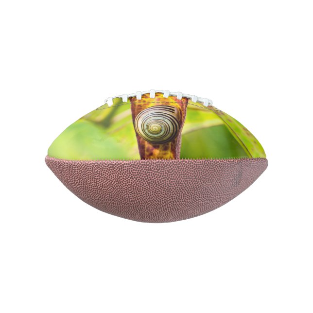 Ballon De Foot attachement calme (Tourné à 90°)