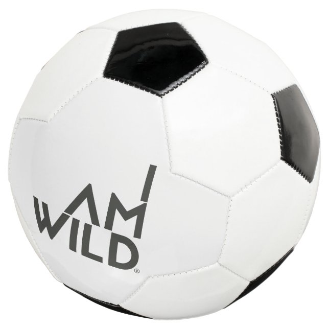 Ballon De Foot Balle de football IAMWILD (3/4)