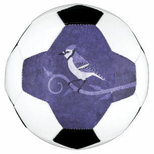 Ballon De Foot Balle de soccer bleu Jay