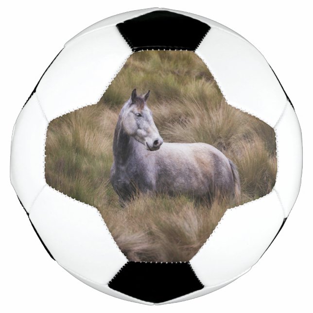 Ballon De Foot Beau Cheval gris coloré (Devant)