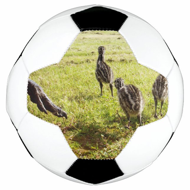Ballon De Foot Bébé Emu Chicks Et Big Foot, (Devant)