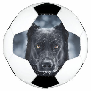 Ballon De Foot Black German Shepherd