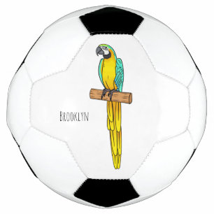 Ballon De Foot Blue-and-yellow macaw bird cartoon illustration