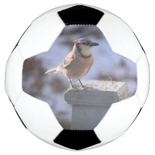 Ballon De Foot Blue Jay