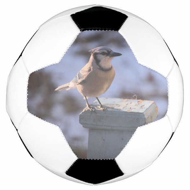 Ballon De Foot Blue Jay (Devant)