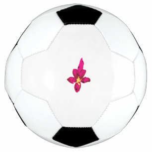 Ballon De Foot Boule de football