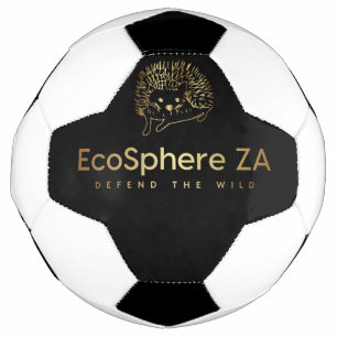 Ballon De Foot Boule de football