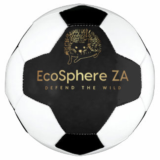 Ballon De Foot Boule de football