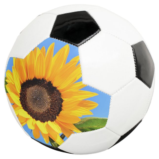 Ballon De Foot Boule de soccer tournesol (3/4)