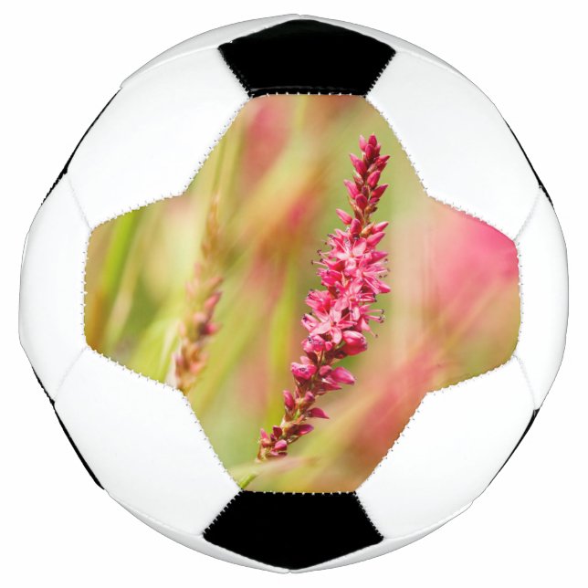 Ballon De Foot buisson de couleur (Devant)
