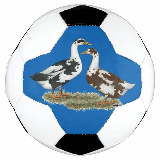 Ballon De Foot Canards Ancona Pair (Devant)