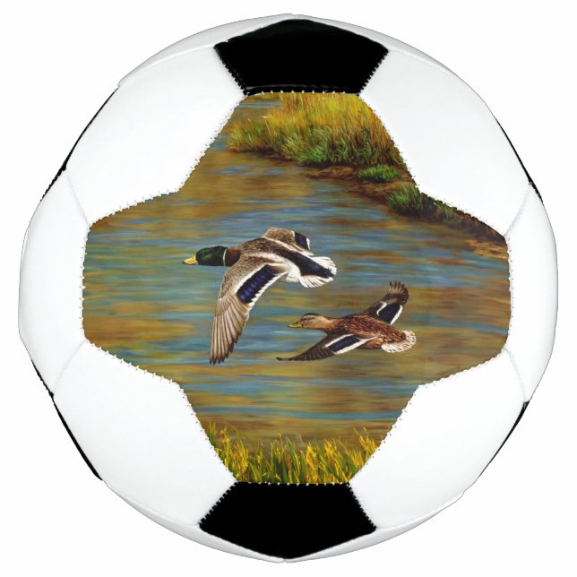 Ballon De Foot Canards-Majards Survolant L'Étang (Devant)