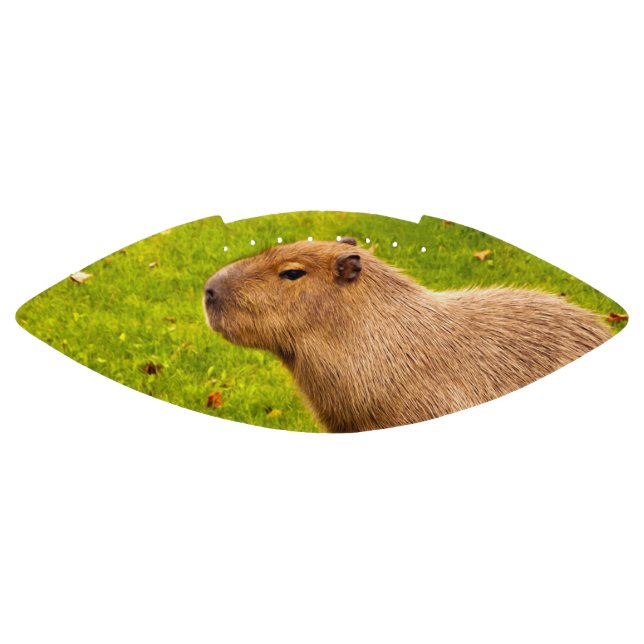 Ballon De Foot Capybara (Panneau)