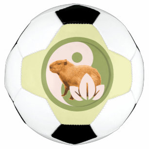 Ballon De Foot Capybara Zen Yin Yang Nature Paisible