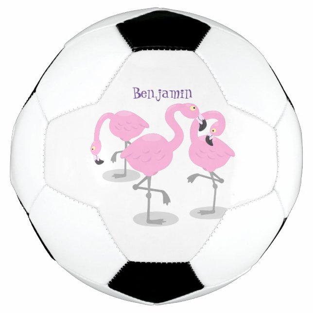 Ballon De Foot Caricature en trio flamand rose mou (Devant)