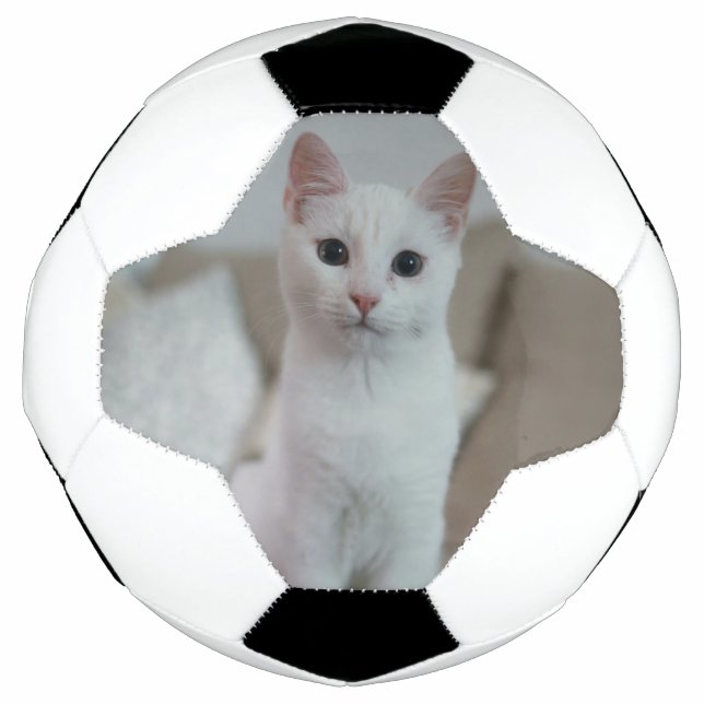 Ballon De Foot chat blanc | Zazzle_Growshop. (Devant)