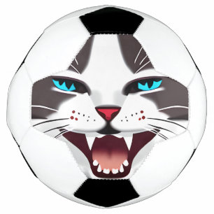 Ballon De Foot Chat bleu teinté