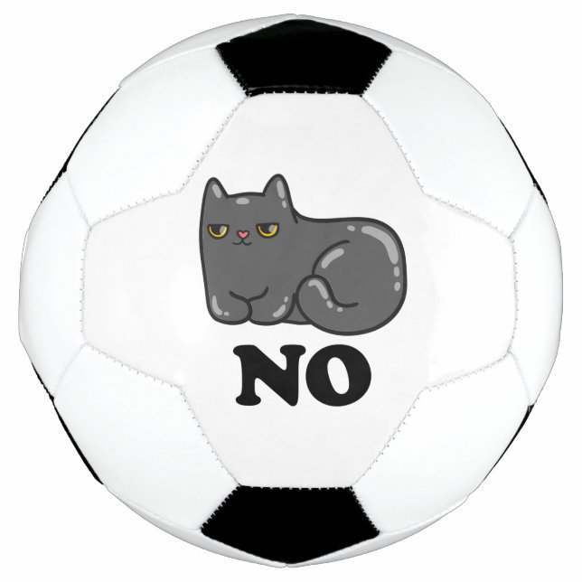 Ballon De Foot Chat de Sarcasme (Devant)