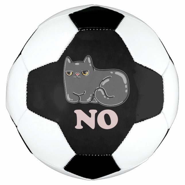 Ballon De Foot Chat de Sarcasme (Devant)