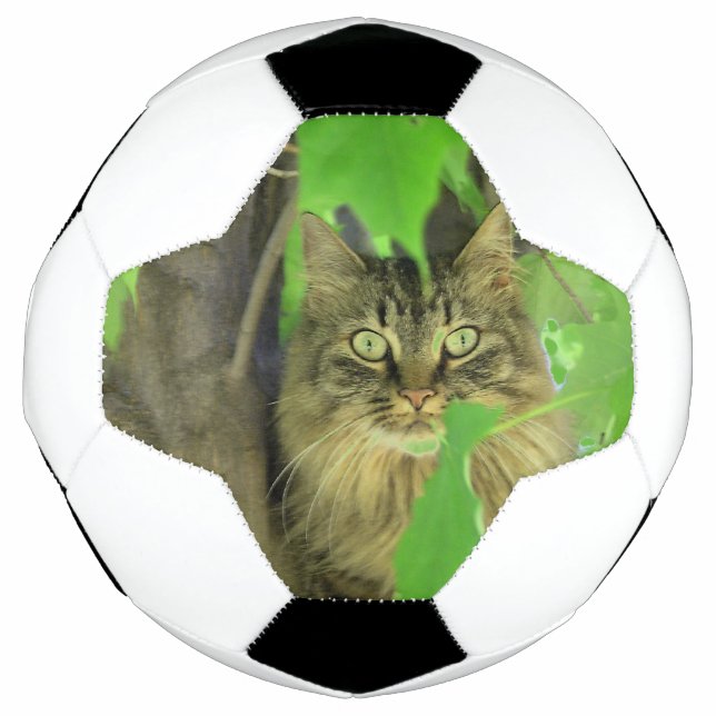 Ballon De Foot Chat Maine Coon dans l'arbre (Devant)