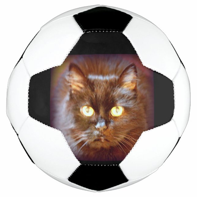 Ballon De Foot chat noir (Devant)