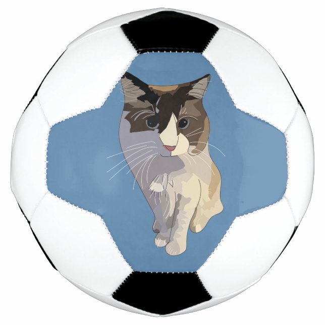 Ballon De Foot Chat Ragdoll, Bleu Poussiéreux (Devant)