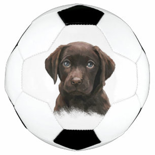 Ballon De Foot Chiot du Labrador au chocolat