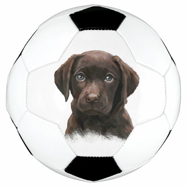 Ballon De Foot Chiot du Labrador au chocolat (Devant)
