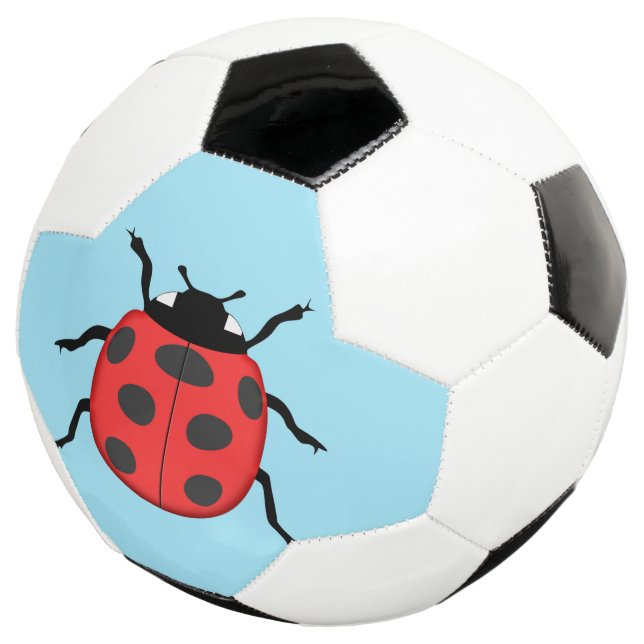 Ballon De Foot Coccinelle (3/4)