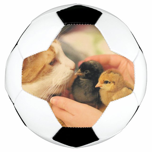 Ballon De Foot Cubes (Devant)