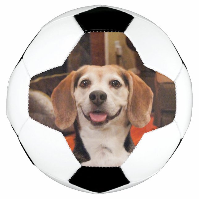 Ballon De Foot Cuire votre propre animal de compagnie photo moder (Devant)