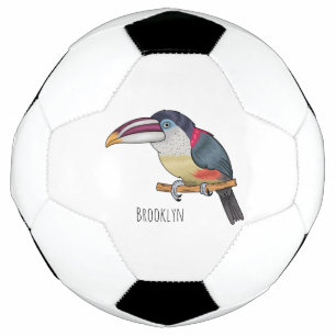 Ballon De Foot Curl crested aracari bird cartoon