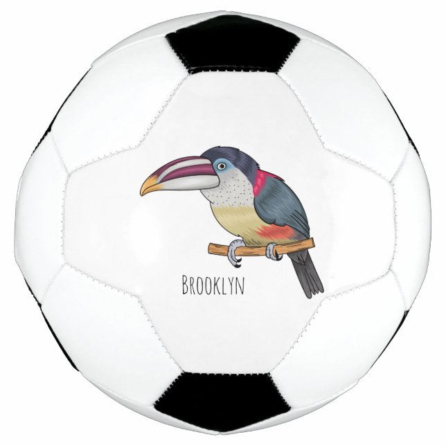 Ballon De Foot Curl crested aracari bird cartoon (Devant)