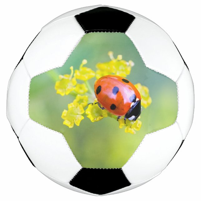 Ballon De Foot dame sur le dessus (Devant)