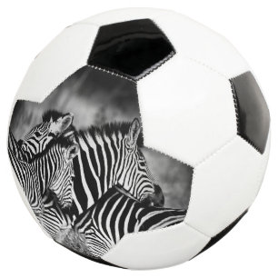 Ballon De Foot Dazzle de Zebra