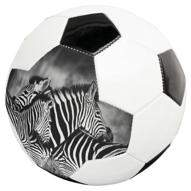 Ballon De Foot Dazzle de Zebra (3/4)
