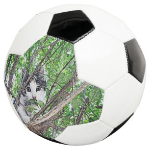 Ballon De Foot Dessin au crayon de chaton,