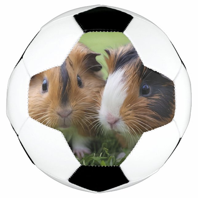 Ballon De Foot Deux bébés cochons de Guinée Tortoiseshell, (Devant)