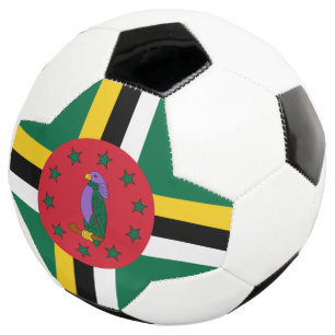 Ballon De Foot dominique