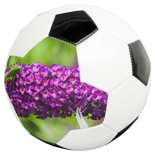Ballon De Foot énergie de la sauterelle (3/4)