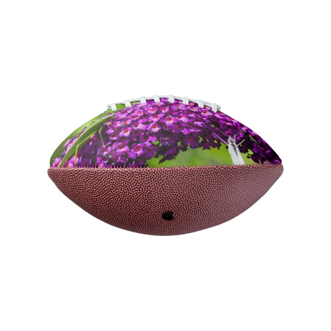 Ballon De Foot énergie de la sauterelle (Tourné à 270°)