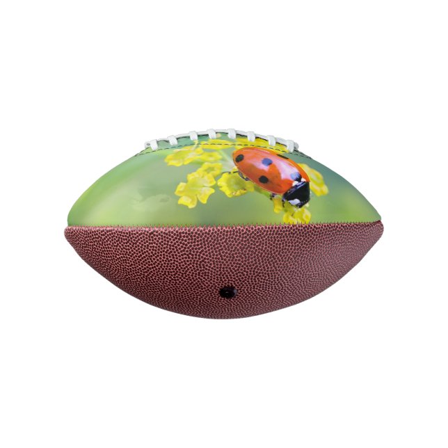 Ballon De Foot femme au sommet (Tourné à 270°)