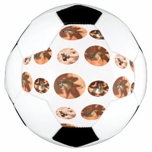 Ballon De Foot Forme de balle Meerkat, balle de football