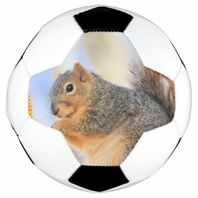 Ballon De Foot Furball d'aujourd'hui (Devant)